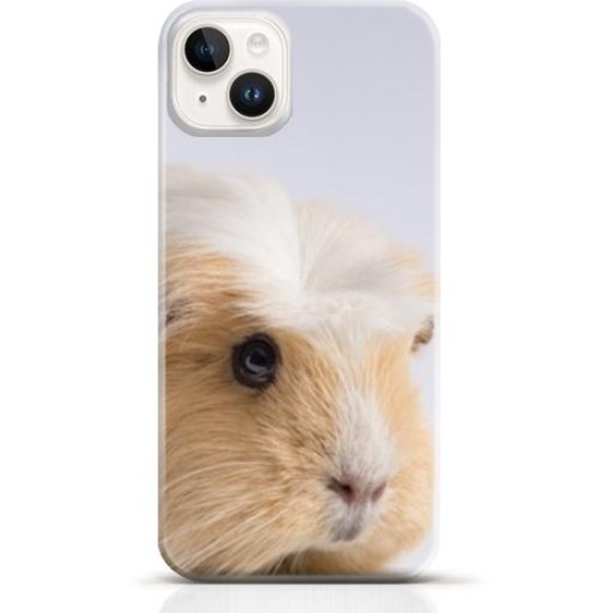 Hamster iPhone 13 mini case Style 14