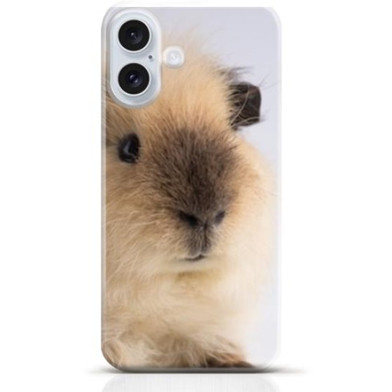 Hamster iPhone 16 Plus case Style 13