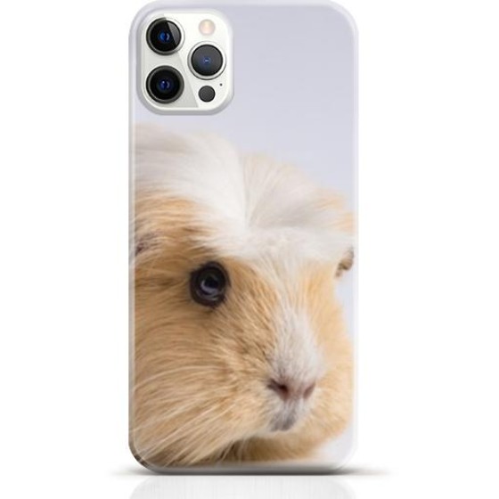 Hamster iPhone 16 Pro case Style 16