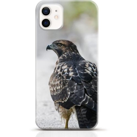 Hawk iPhone 12 case Style 9