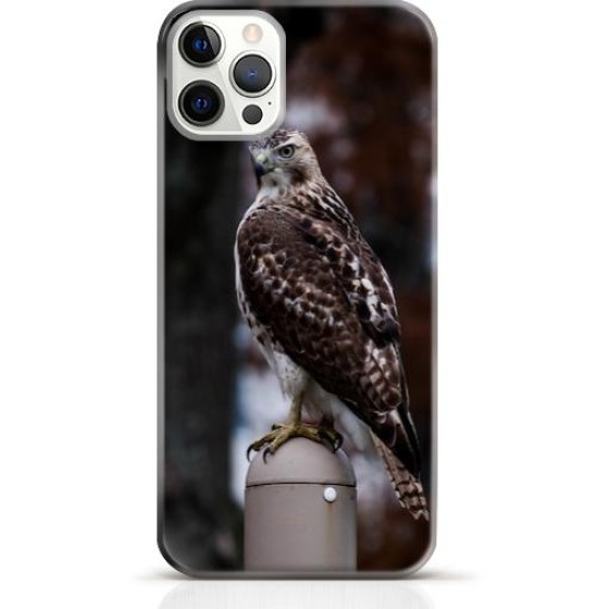 Hawk iPhone 12 Pro max case Style 14