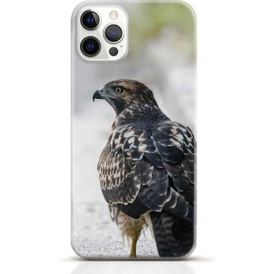 Hawk iPhone 12 Pro max case Style 9