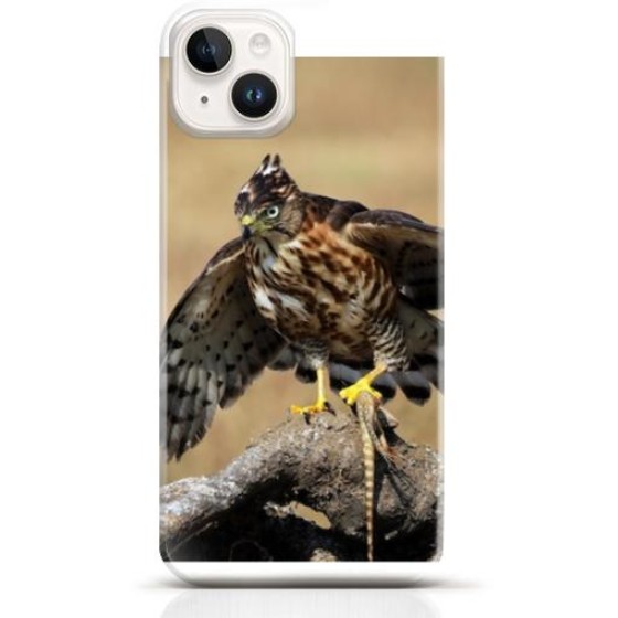 Hawk iPhone 14 Plus case Style 13