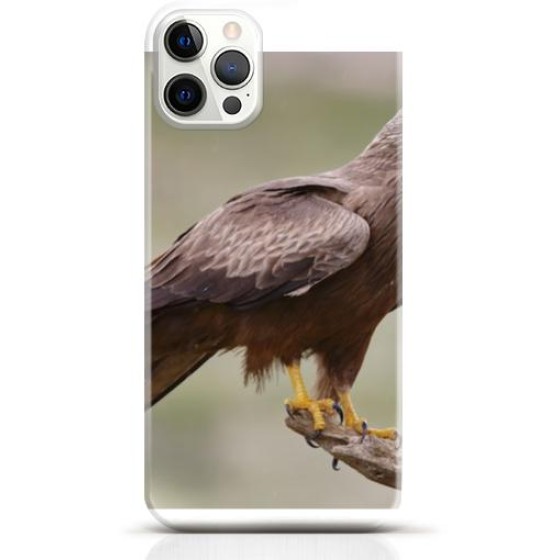 Hawk iPhone 14 Pro case Style 24