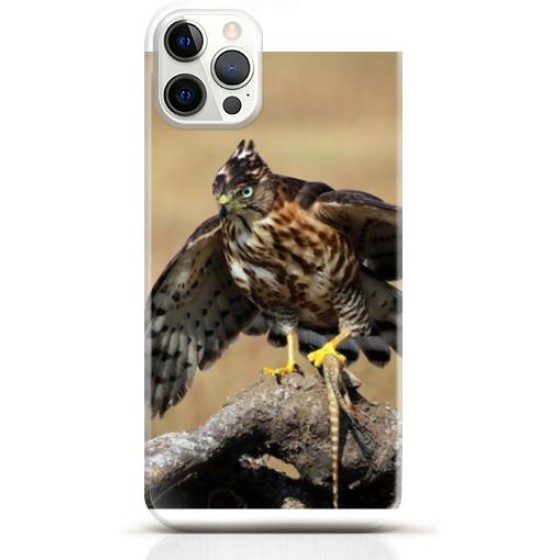 Hawk iPhone 15 Pro case Style 13