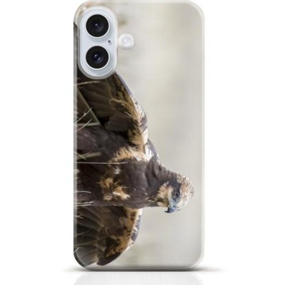 Hawk iPhone 16 case Style 11