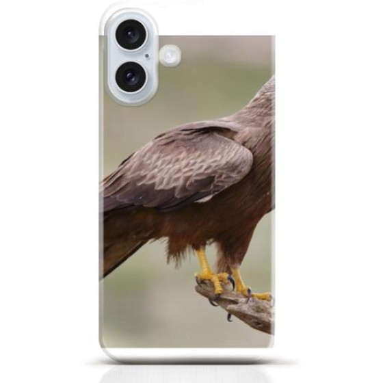 Hawk iPhone 16 case Style 24