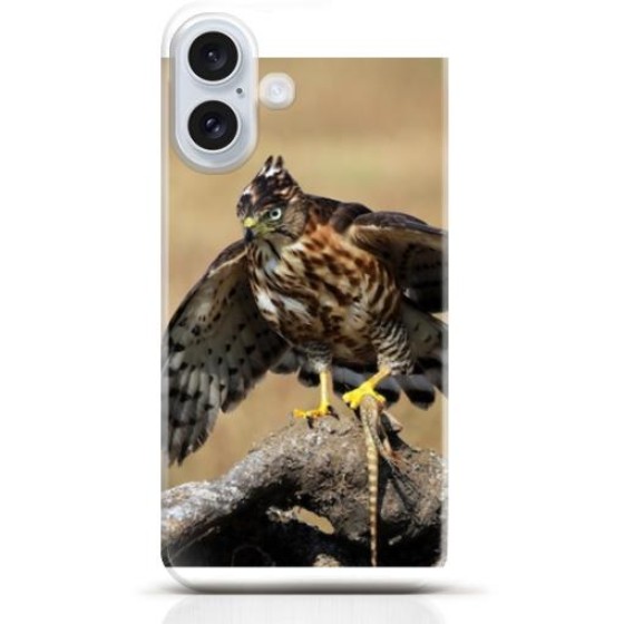 Hawk iPhone 16 Plus case Style 13