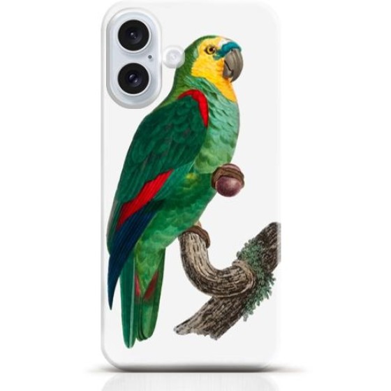 Parrot iPhone 16 case Style 15