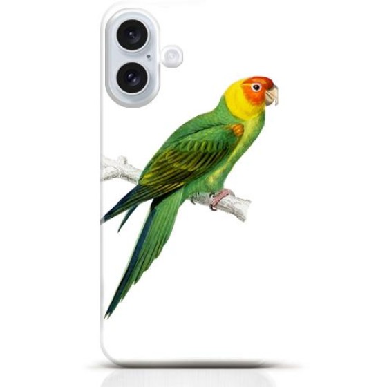 Parrot iPhone 16 Plus case Style 11