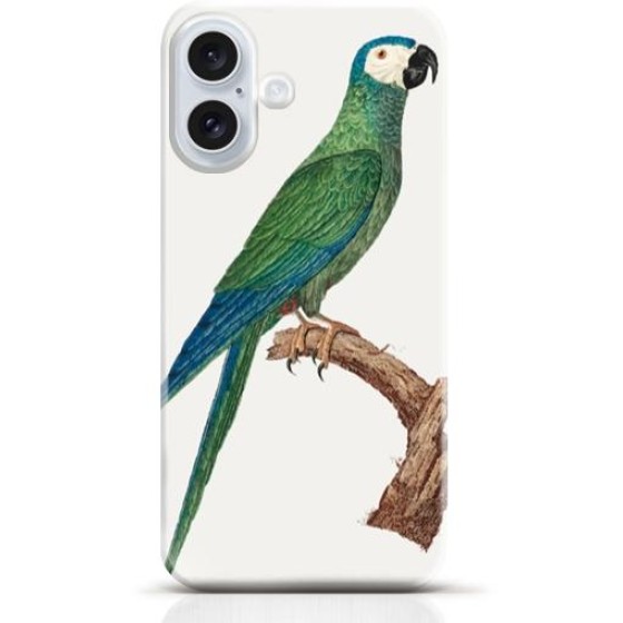 Parrot iPhone 16 Plus case Style 12