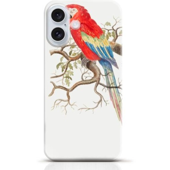 Parrot iPhone 16 Plus case Style 13