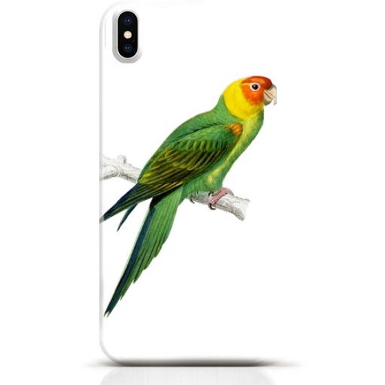 Parrot iPhone XS case Style 11