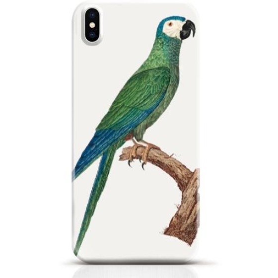 Parrot iPhone XS case Style 12